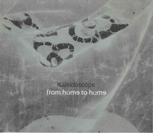 Load image into Gallery viewer, Kaleidoscope (2) : White Faced Lady / From Home To Home (2xCD, Album, Comp, RE, RM)
