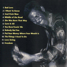 Load image into Gallery viewer, Luther Allison : Soul Fixin' Man (CD, Album)
