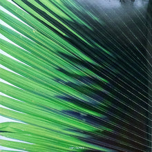 Load image into Gallery viewer, The Beach Boys : The Absolute Best Vol. 1 (CD, Comp)
