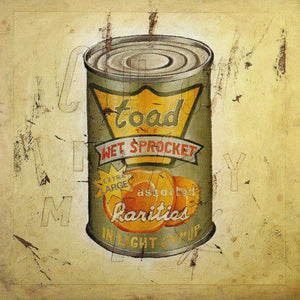 Toad The Wet Sprocket : In Light Syrup (CD, Comp, Pit)
