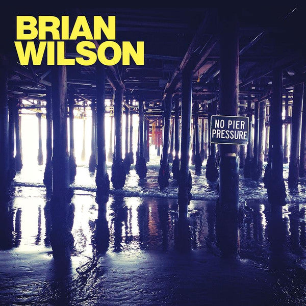 Brian Wilson : No Pier Pressure (CD, Album)