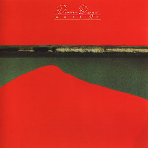 Dixie Dregs : What If (CD, Album, RE, RM)