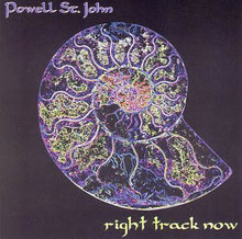 Load image into Gallery viewer, Powell St. John : Right Track Now (2xCD, Album)
