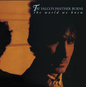 Tav Falco's Panther Burns : The World We Knew (CD, Album)