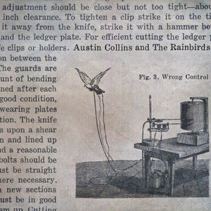 Austin Collins & The Rainbirds : Wrong Control (CD, Album, Dig)