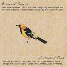 Load image into Gallery viewer, Tandy (4) : Lichtenstein's Oriole (CD, Album)
