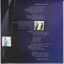 Load image into Gallery viewer, Traffic : Far From Home (CD, Album)
