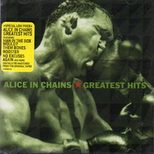 Load image into Gallery viewer, Alice In Chains : Greatest Hits (CD, Comp)
