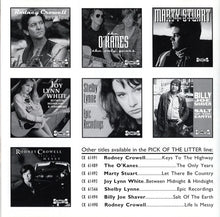 Load image into Gallery viewer, Shelby Lynne : Epic Recordings (CD, Album, Comp)
