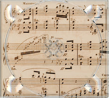 Load image into Gallery viewer, Paul Marsteller &amp; Gabriel Rhodes With Various : The Beautiful Old: Turn-Of-The-Century Songs (CD, Album)
