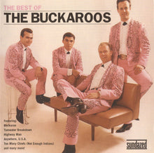 Load image into Gallery viewer, The Buckaroos : The Best Of The Buckaroos (CD, Comp)
