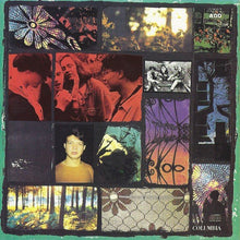 Load image into Gallery viewer, The Boo Radleys : Everything's Alright Forever (CD, Album)
