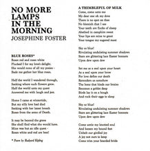 Load image into Gallery viewer, Josephine Foster : No More Lamps In The Morning (CD, Album)
