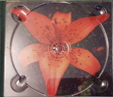 Load image into Gallery viewer, Eric Johnson (2) : Bloom (CD, Album, Dig)
