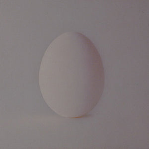 Wilco : A Ghost Is Born (CD, Album, Club, Enh)