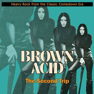 Various : Brown Acid: The Second Trip (Heavy Rock From The Classic Comedown Era) (LP, Comp, Tea)