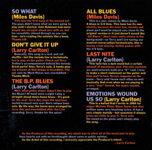 Load image into Gallery viewer, Larry Carlton : Last Nite (CD, Album)
