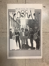Load image into Gallery viewer, Paul Ray and the Cobras (Poster)
