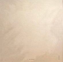 Load image into Gallery viewer, Blue Sky Boys : The Sunny Side Of Life (5xCD, Comp + Box)
