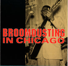 Load image into Gallery viewer, Elmore James &amp; His Broomdusters : The Classic Early Recordings: 1951-1956 (3xCD, Comp, Box)
