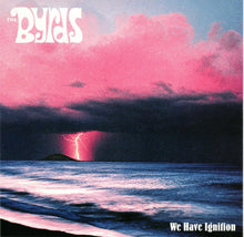 Load image into Gallery viewer, The Byrds : The Byrds (4xCD, Comp, Mono, RM + Box)

