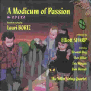 the album cover for Lauri Bortz - Modicum of Passion