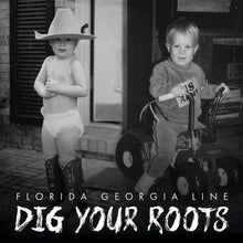 Load image into Gallery viewer, Florida Georgia Line : Dig Your Roots (CD, Album)

