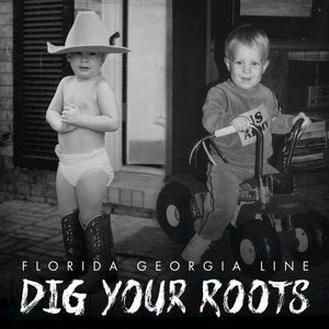 Florida Georgia Line : Dig Your Roots (CD, Album)