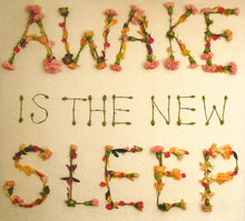 Load image into Gallery viewer, Ben Lee : Awake Is The New Sleep (CD, Album, Dig)
