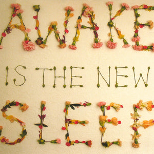 Ben Lee : Awake Is The New Sleep (CD, Album, Dig)