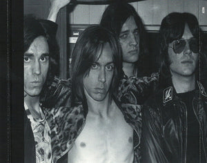 Iggy And The Stooges* : Raw Power (CD, Album, RE, RM)