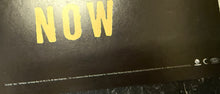 Load image into Gallery viewer, Vallejo  "Into The New" On Tour - 2000 (Poster)
