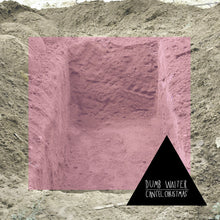 Load image into Gallery viewer, Dumb Waiter : Cancel Christmas (LP, Album, Ltd)

