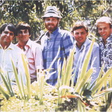 Load image into Gallery viewer, The Beach Boys : Greatest Hits (CD, Comp)
