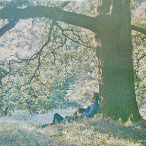 Yoko Ono / The Plastic Ono Band : Plastic Ono Band (LP, Album, RE)