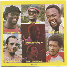 Load image into Gallery viewer, Toots &amp; The Maytals : Reggae Got Soul (CD, Album)
