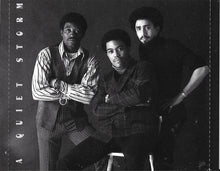 Load image into Gallery viewer, The Main Ingredient : A Quiet Storm (CD, Comp)
