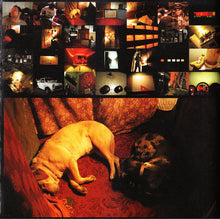 Load image into Gallery viewer, Theresa Andersson : Shine (CD, Album)
