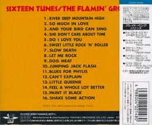 Load image into Gallery viewer, The Flamin&#39; Groovies : Sixteen Tunes (CD, Album, Comp, Mono)
