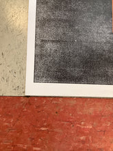 Load image into Gallery viewer, James Bay at Austin City Limits - 2016 (Poster)
