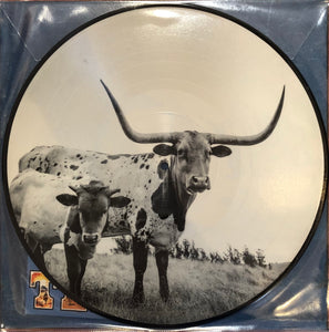 Mike Flanigin - West Texas Blues PICTURE DISC (LP)