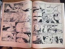Load image into Gallery viewer, Austin Stone No. 2 (magazine)
