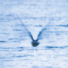 Load image into Gallery viewer, Ryo Fukui : Mellow Dream (LP, Album, RE, Hal)

