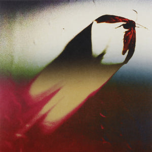 Scowl  - Are We All Angels (Vinyl)