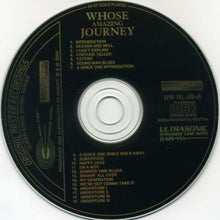 Load image into Gallery viewer, The Who – Amazing Journey (CD)
