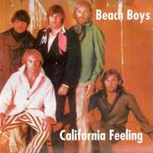 Load image into Gallery viewer, Beach Boys – California Feeling (CD)
