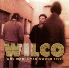 Load image into Gallery viewer, Wilco – Why Would You Wanna Live (CD)
