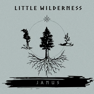 Little Wilderness - Janus (Vinyl)