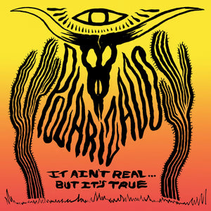 Polarizado - It Ain't Real ... But It's True