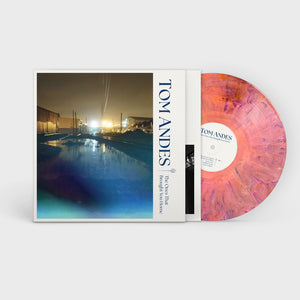Tom Andes - The Ones That Brought You Home (LP, Album)